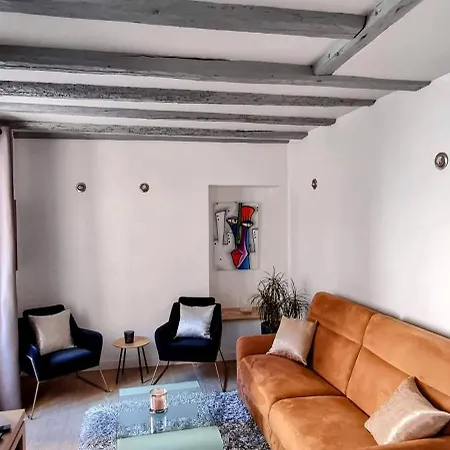 Apartment De Charme Au Coeur De La Vieille Annecy